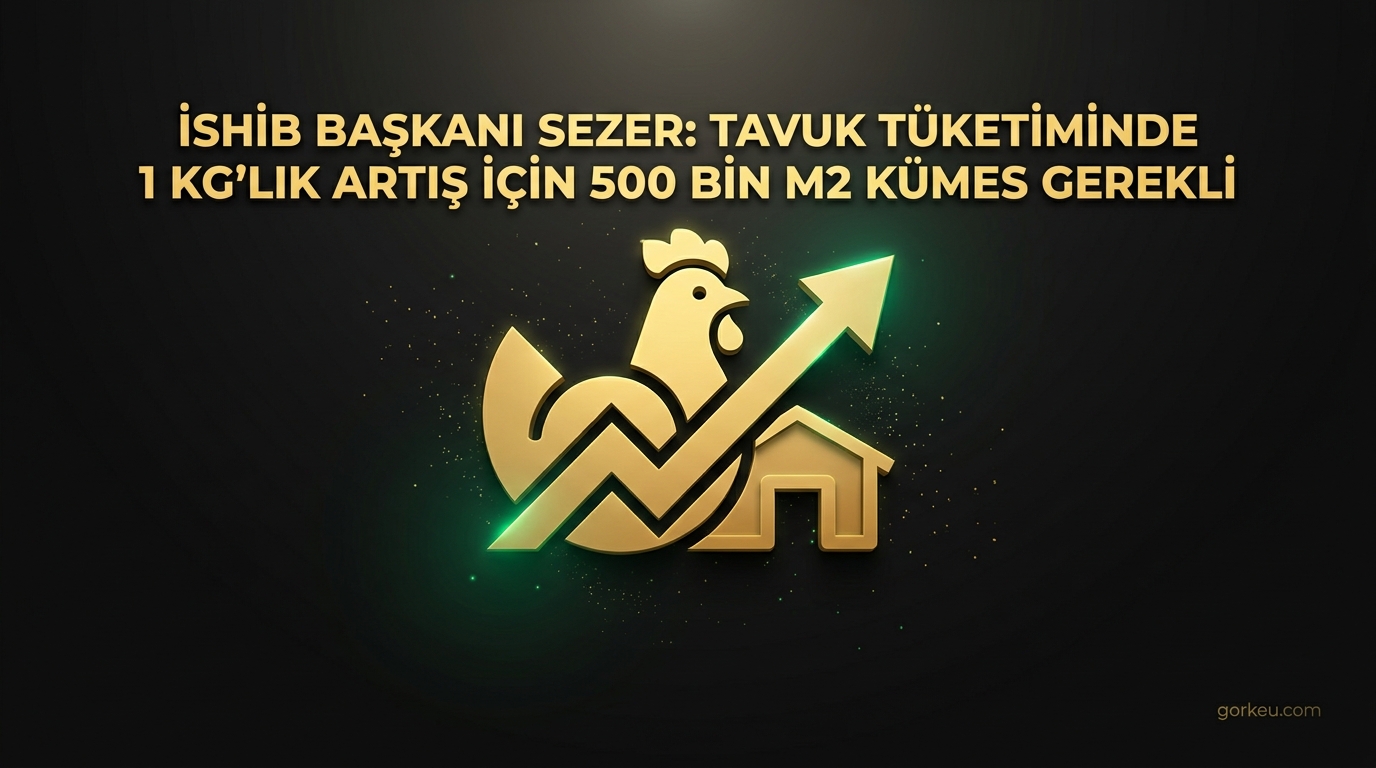 İSHİB Başkanı Sezer: Tavuk tüketiminde 1 kg'lık artış için 500 bin m2 kümes gerekli